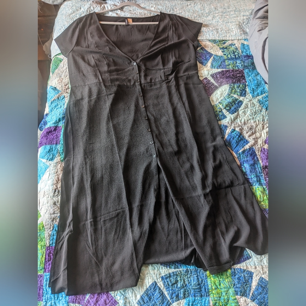 Sheer Black button down dress